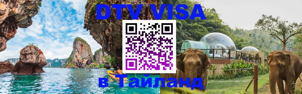 Оформление DTV визы под ключ: стоимость и тарифы, только загранпаспорт - 